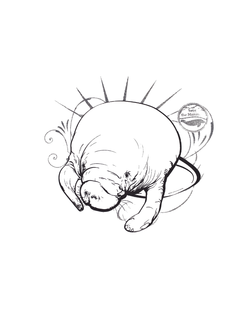 (Final Sale) Adopted Manatee T-shirt