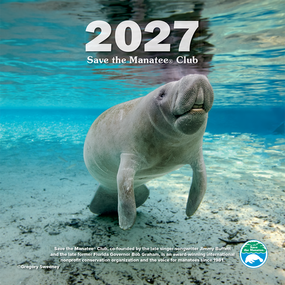 (Preorder) 2027 Save the Manatee Club Calendar