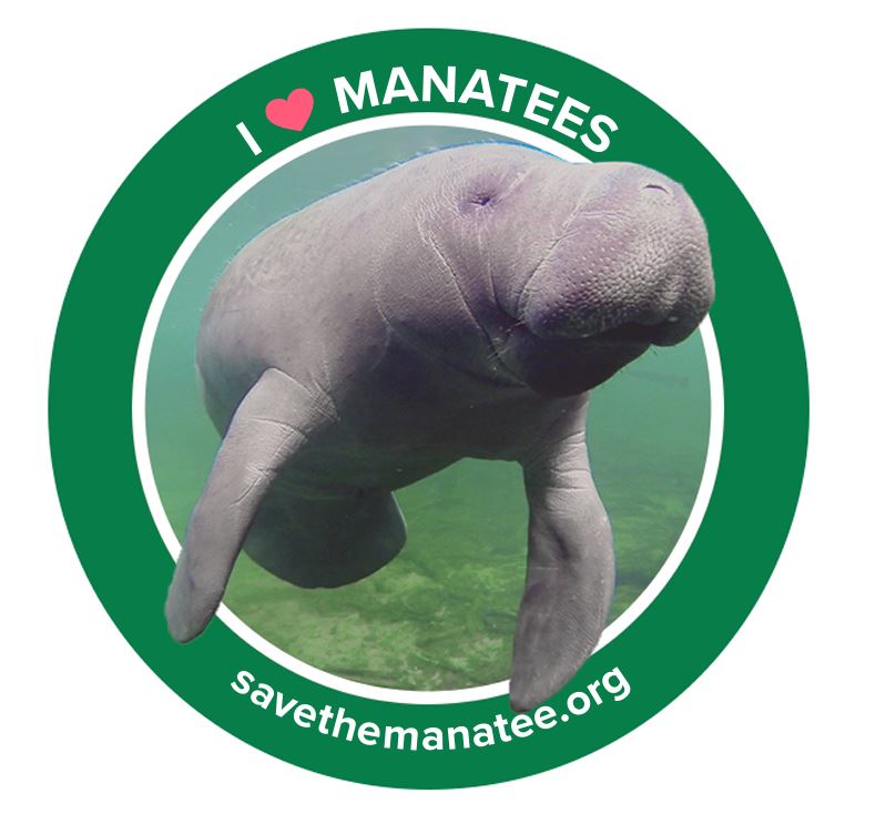 Sticker - I Heart Manatees Small