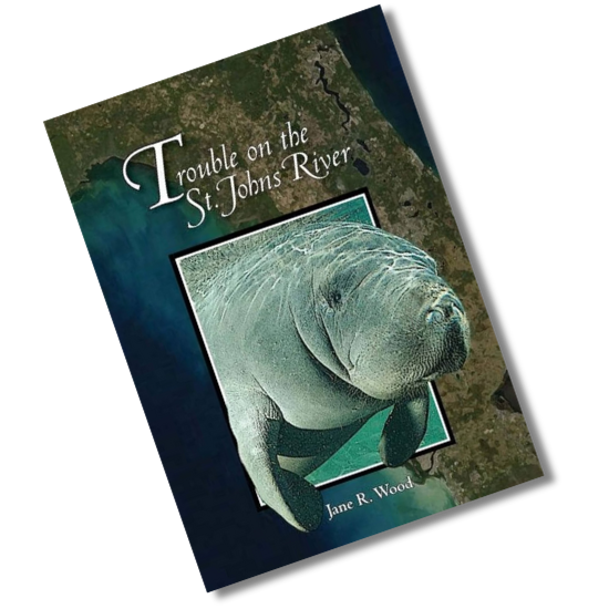 Trouble on the St. Johns River (Paperback)