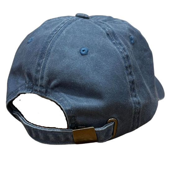 Save the Manatee Dad Hat