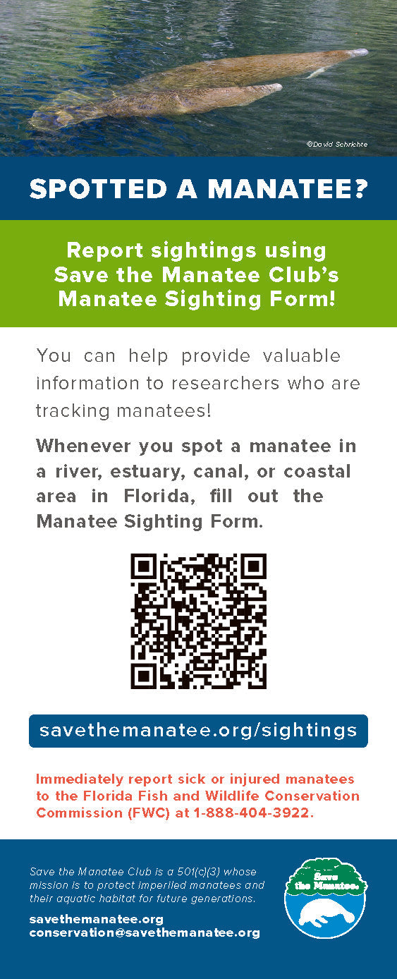 Rack Card - Manatee Sighting