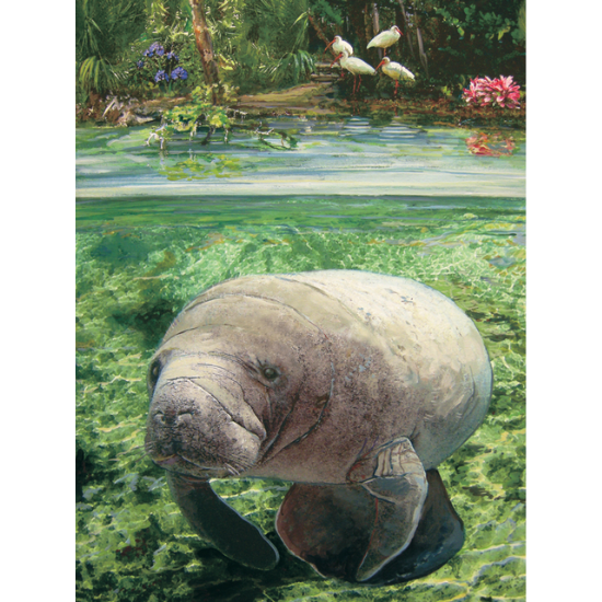 550 Piece William Bock Manatee Puzzle