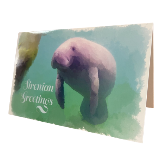 Holiday Card: Sirenian Greetings