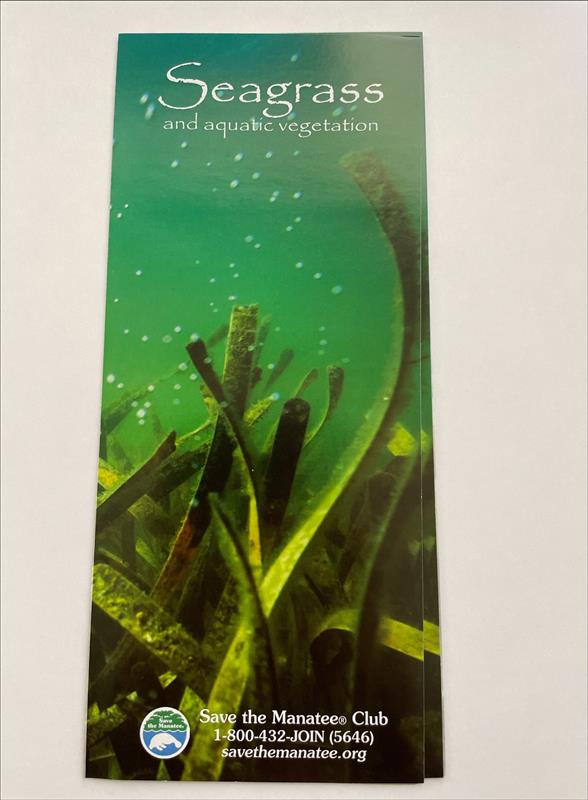 Brochure - Seagrass