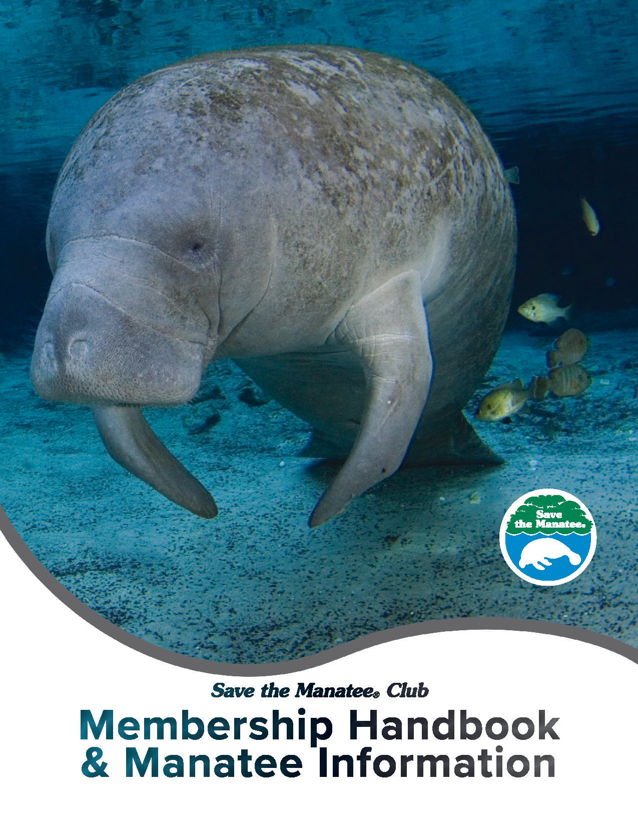 Booklet - Membership Handbook