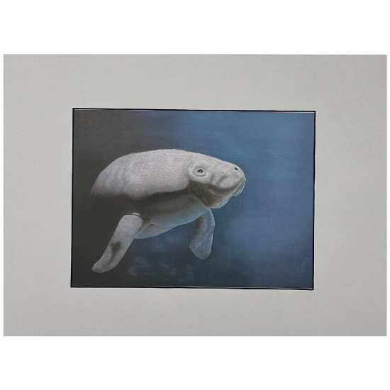 Matted Manatee Print