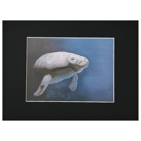 Matted Manatee Print