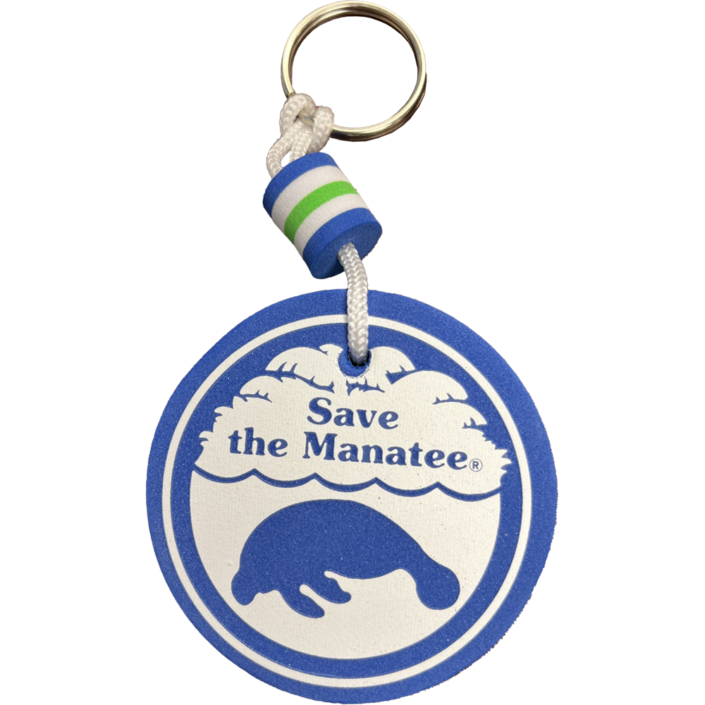 (Donation Item) Floating Logo Keychain