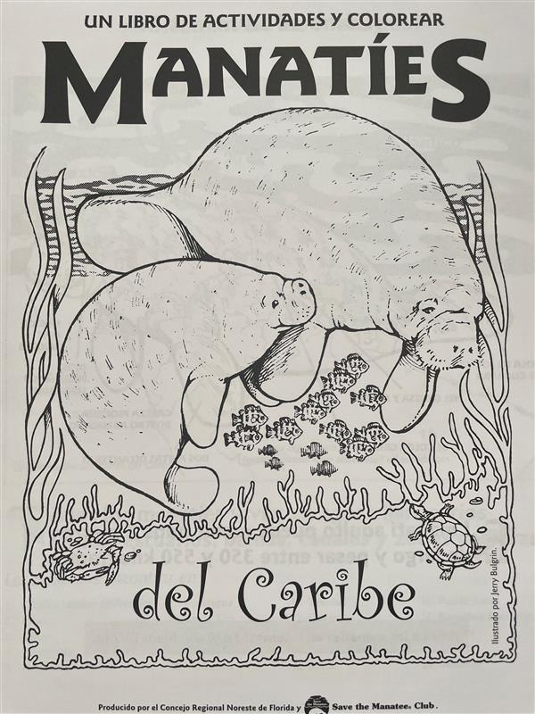 Coloring Books - Spanish