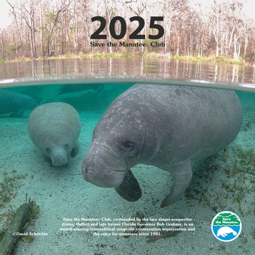 Calendars – Manatees R Us by Save the Manatee Club