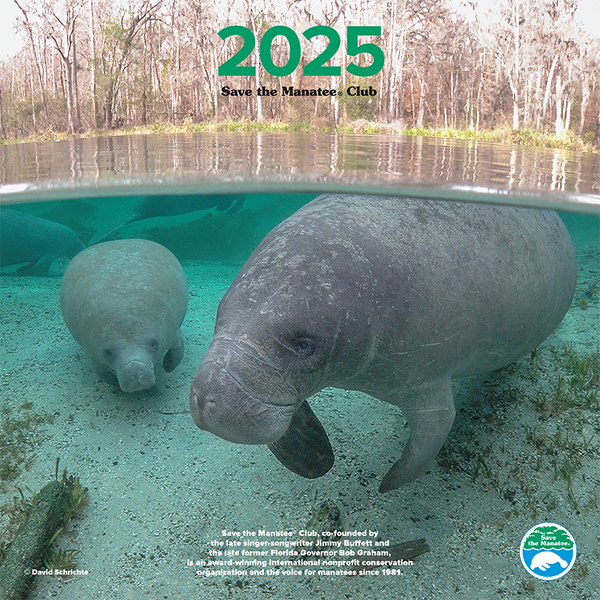 Manatee Calendar 2025