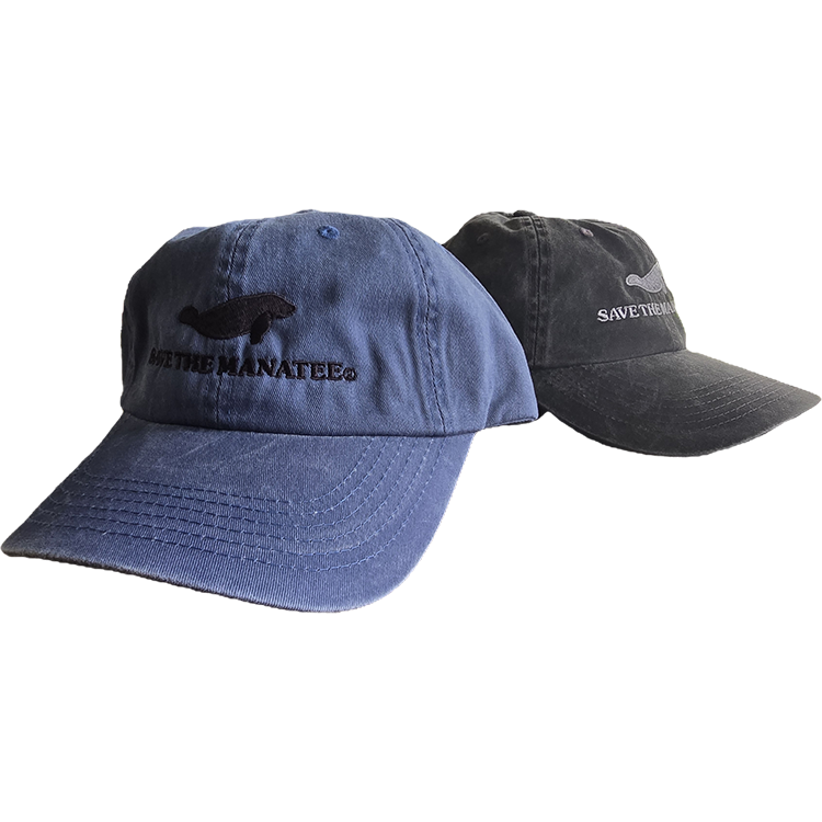 Save the Manatee Dad Hat