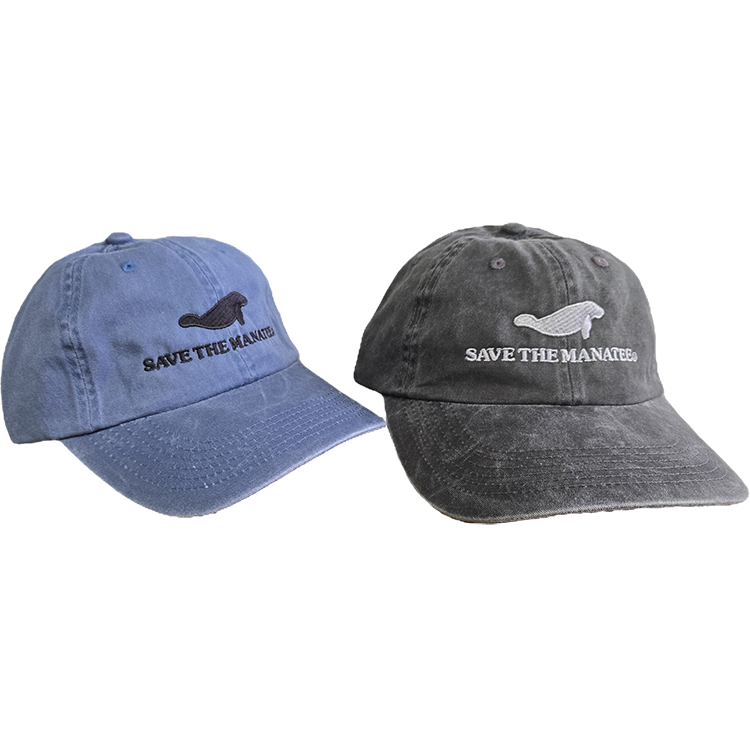 Save the Manatee Dad Hat