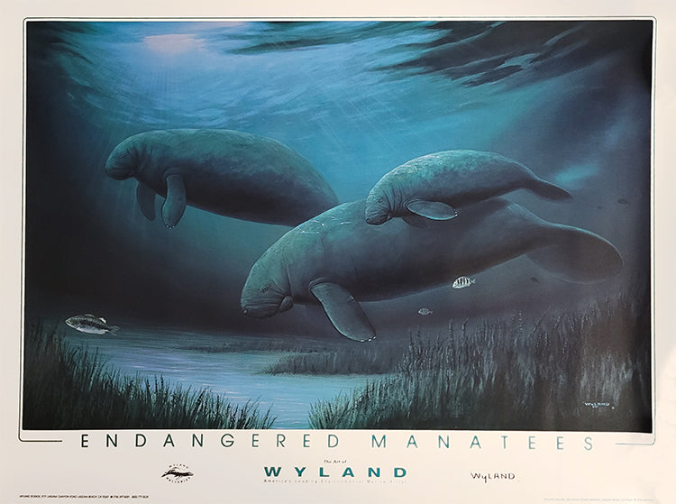 (Final Sale) Wyland Poster