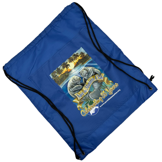 (Damaged) 35th Anniversary Drawstring Bag