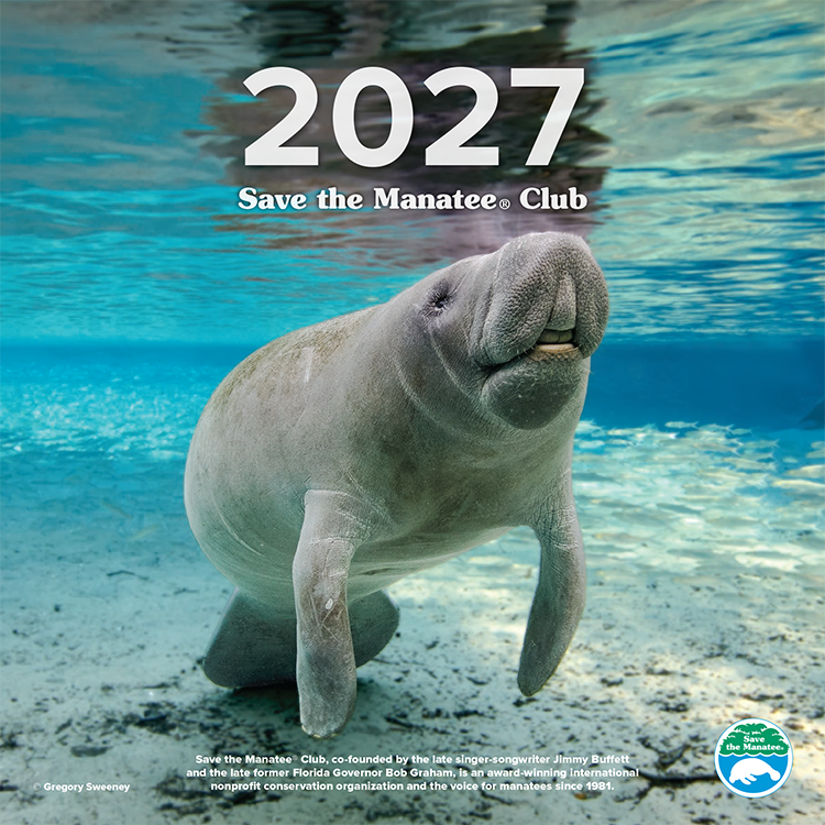 (Preorder) 2027 Save the Manatee Club Calendar