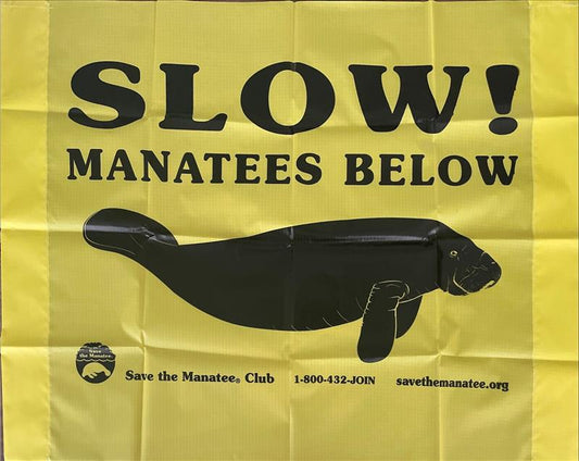 Banner - Yellow Boating