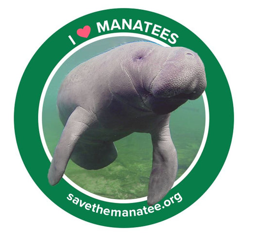 Sticker - I Heart Manatees Small
