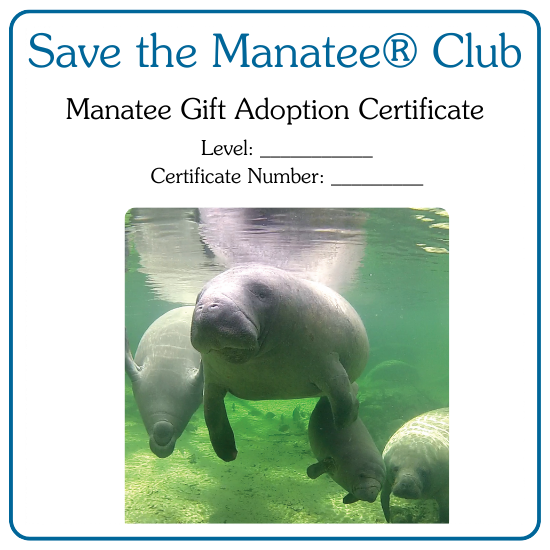 The Manatee Store Save the Manatee Club's Online Gift Catalog The