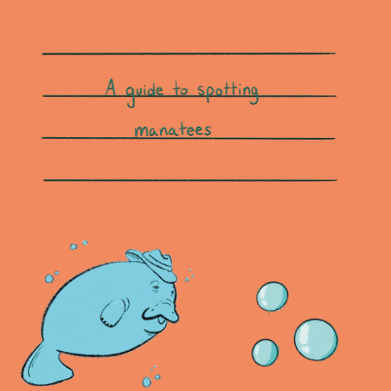 A Guide to Spotting Manatees (e-Book Free Download)