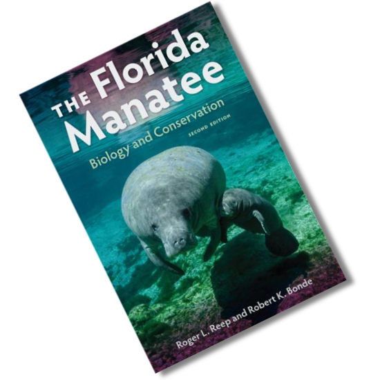 The Florida Manatee Biology and Conservation (Paperback)