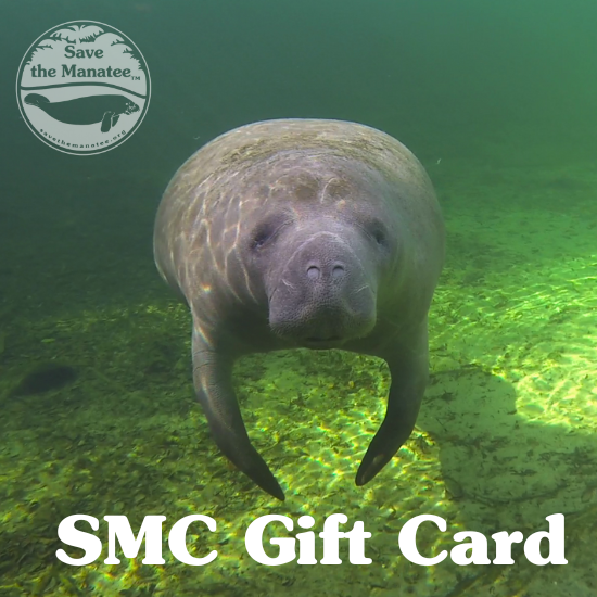 Save The Manatee Gift Card