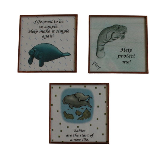 (Final Sale) Manatee Magnets- 3 Pack