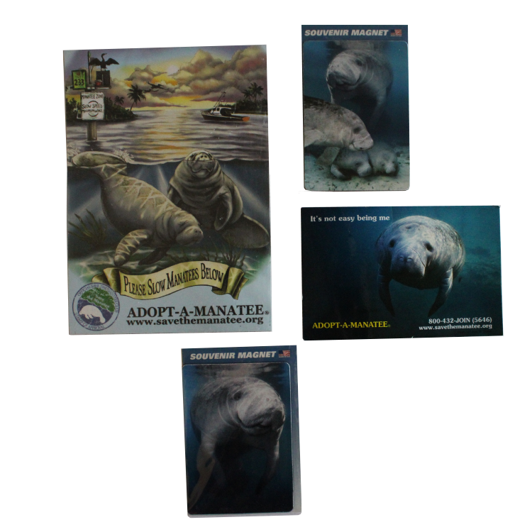 (Final Sale) Manatee Souvenir Magnet Bundle