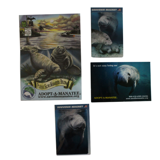 (Final Sale) Manatee Souvenir Magnet Bundle