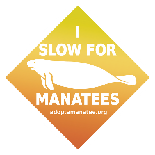 Decal – 2026 I Slow for Manatees