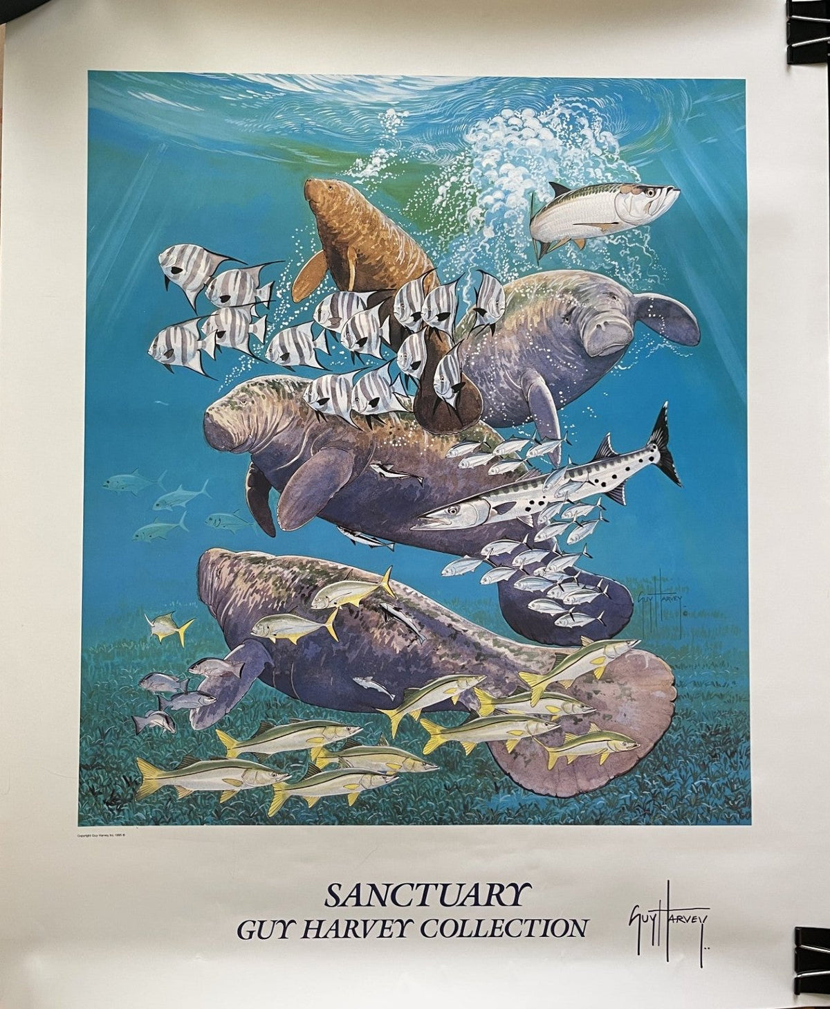 (Final Sale) Guy Harvey "Sanctuary" Poster