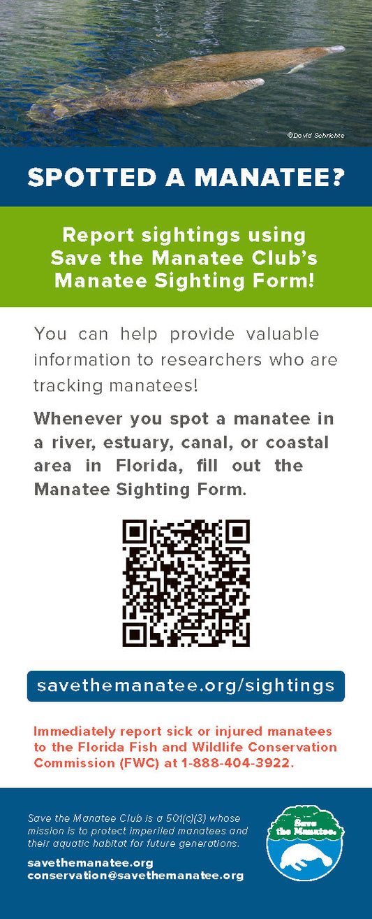 Rack Card - Manatee Sighting