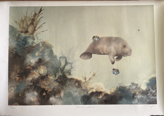 (Final Sale) West Indian Manatee Poster
