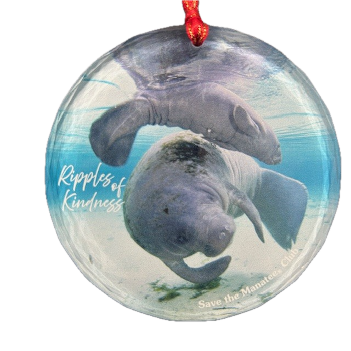 Benefit - 2025 Guardian - Kindness Suncatcher