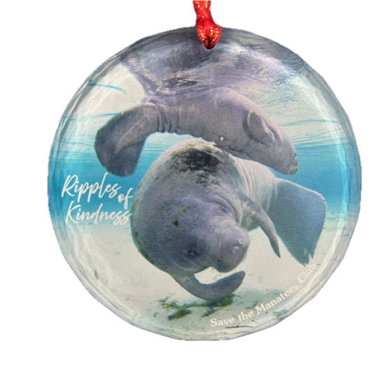 Benefit - 2025 Guardian - Kindness Suncatcher