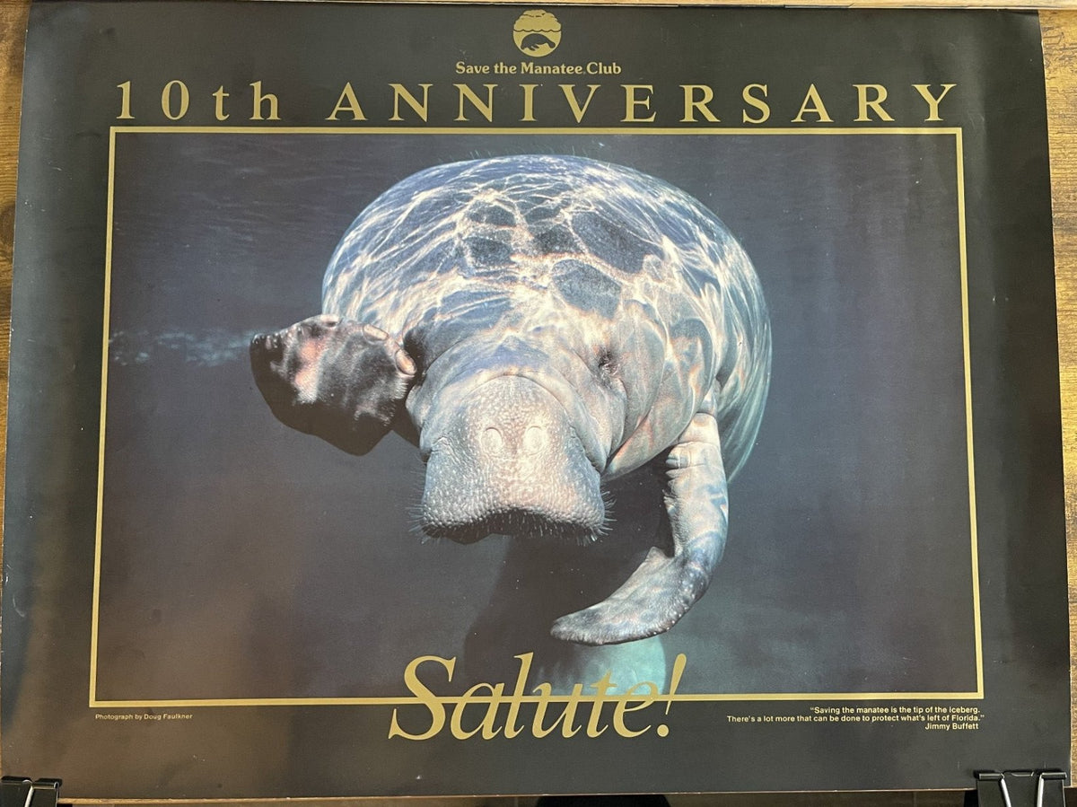 (Final Sale) Salute Poster