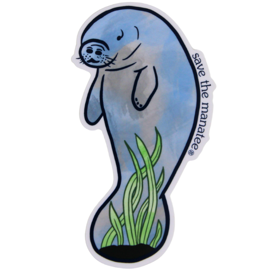 Watercolor Manatee Vinyl Sticker – Manatees R Us by Save the Manatee Club