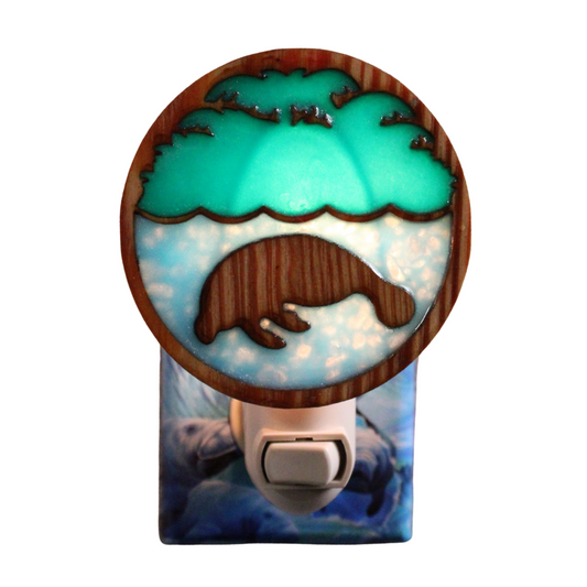 Logo Night Light
