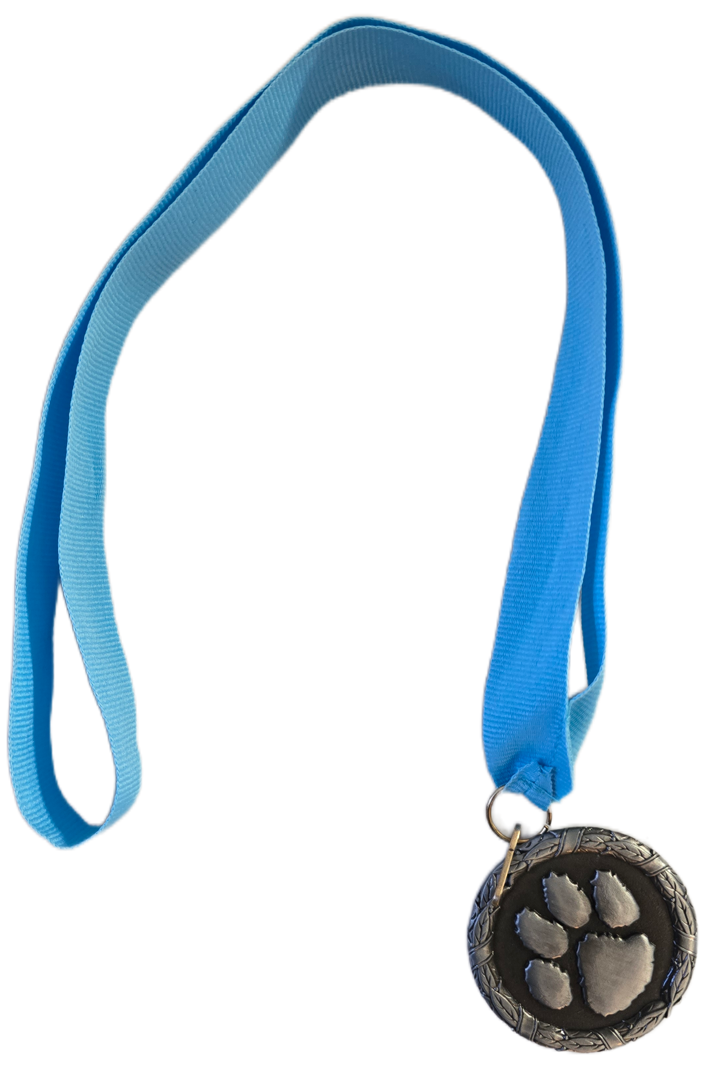 (Final Sale) Save the Manatee 5K Dog Medals