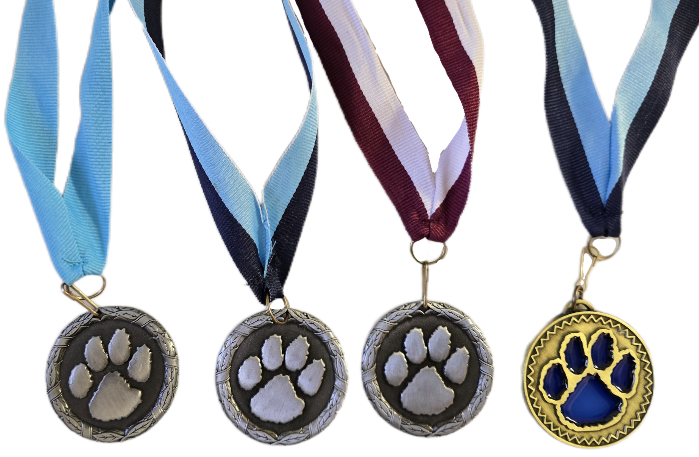 (Final Sale) Save the Manatee 5K Dog Medals