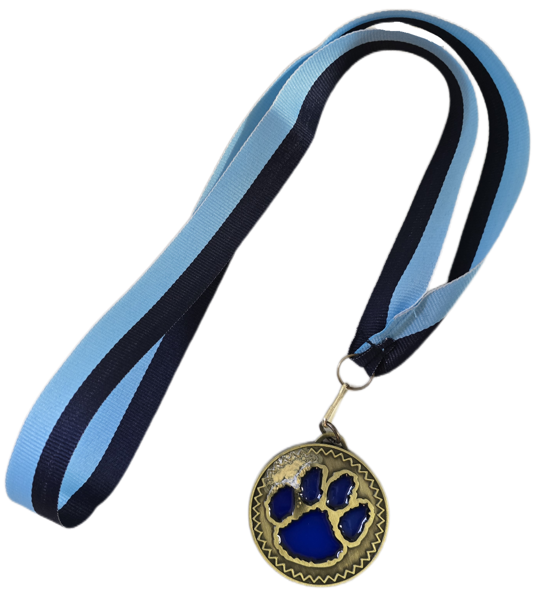 (Final Sale) Save the Manatee 5K Dog Medals