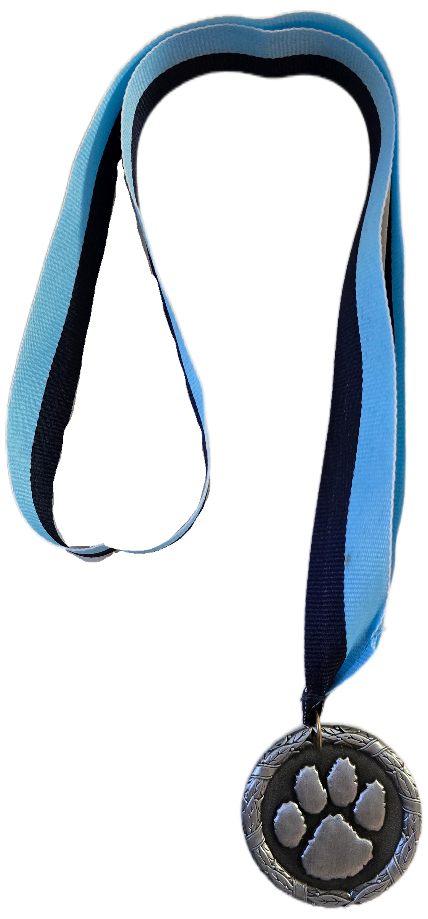 (Final Sale) Save the Manatee 5K Dog Medals