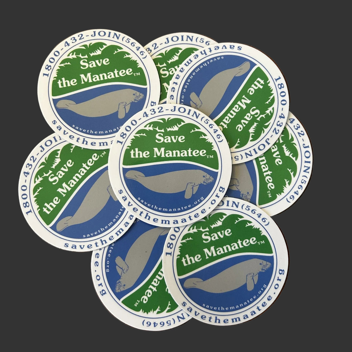 Logo Vinyl Sticker w/ Contact Info