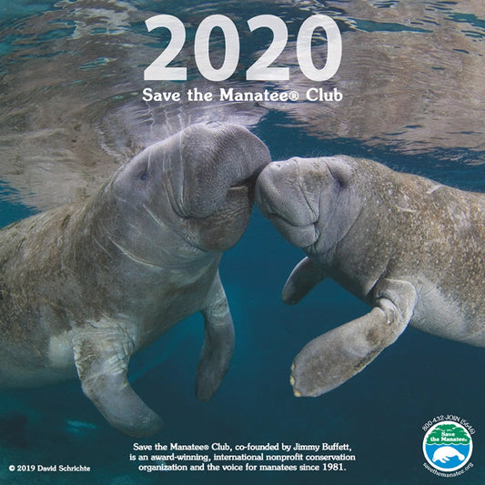 2020 Save the Manatee Club Calendar.  A captivating photo of two manatees by photographer David Schrichte is featured on the cover of our 2020 manatee wall calendar.
