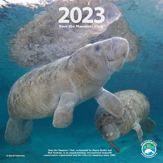 2023 Manatee Wall Calendar.  This fabulous calendar is filled with beautiful underwater photos of manatees for every month of the year.