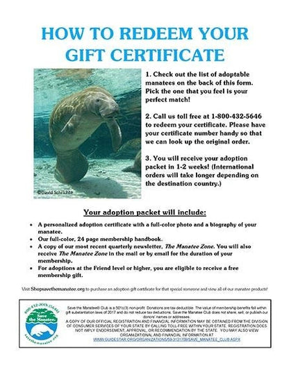 Adoption Gift Certificate