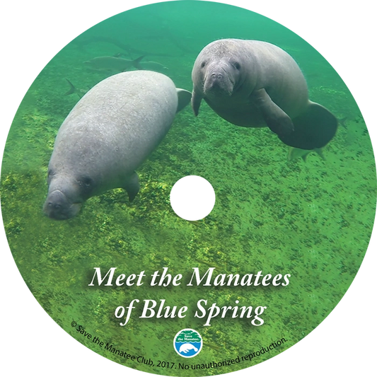 Meet the Manatees of Blue Spring!  This DVD features a short educational video about manatees and above and underwater footage of the marvelous manatees at Blue Spring State Park in Orange City, Florida.